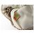 CHANEL BOURSE CORDON A22054 CLUTCH IN PELLE BEIGE BORSA A MANO - vista 13