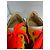Christian Louboutin Sneakers Low-Top Multicolor Multicolore - vista 4