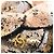Spilla Chanel Pink CC Metallic Canvas Camellia Rosa D'oro - vista 4