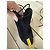 Aquazzura Stivaletti con lacci in scamosciato nero - vista 11