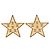 Chanel Gold CC Vergoldete Emaille-Stern Clip-Ohrringe Golden