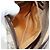 Borsa a tracolla GUCCI GG Supreme PVC Beige Oro Auth BA13033 D'oro - vista 22
