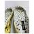 Dolce & Gabbana Bailarinas Estampado Daisy - vista 8
