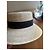 Christian Dior Cruise 2024 Strohhut Schwarz Beige - Ansicht 2