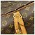 Borsa Louis Vuitton Boston Monogram Sirius 50 Marrone - vista 8
