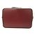 Néonoé Borsa Louis Vuitton NeoNoe in pelle Epi color Cherry Rosso - vista 5