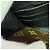 Cartera bi-fold Louis Vuitton Pallas Flap Lock Monogram Castaño Negro Monograma - vista 10
