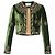 Etro Spring 2018 grüne bestickte Samtjacke