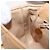 CHANEL Marsupio Matelasse in Pelle Caviar Beige Oro CC Auth BA12986V D'oro - vista 24