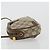 Borsa GUCCI GG Supreme Web Sherry Line PVC Beige Oro 89 02 066 Auth BA12995 D'oro - vista 4