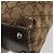 GUCCI GG Canvas Web Sherry Line Tasche Canvas 3 Set Beige Red black Auth 181811 Schwarz Rot - Ansicht 8