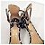 Salvatore Ferragamo x Edgardo Osorio Sandali con Tacco a Pois - vista 4