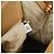 Prada Madras Cerniera Doctor Leather Small Beige - vista 7