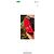 Louis Vuitton Saint Jacques Epi Pelle Rossa Rosso - vista 6