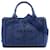 Borsa Prada Blue Small Canvas Canapa Logo Blu scuro