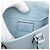Louis Vuitton Petit Sac Plat Epi azul Azul claro - vista 5