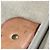 Bolsa Louis Vuitton M41401 Monogram Sirius 65 Marrom - vista 13