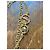 Autre Marque Chantecler Capri Collana Lunga in Oro Giallo 9kt D'oro - vista 10