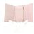 Cartera Chanel AP2963 Rosa de Piel Granulada - vista 5