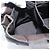 FENDI Handtasche Canvas Schwarz Braun Authentisch gh2132 - Ansicht 21