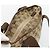 Borsa Tote GUCCI GG Canvas Beige Argento 019 0402 Auth 182184 - vista 6