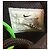 Nike x Off-White Air Force 1 Mid Nero Bianco - vista 10