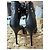 Gianvito Rossi Sandali con tacco in pelle nera Nero - vista 5