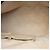 Gucci Beige Diamante Canvas Catherine Tote - Ansicht 4