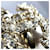 Anello a fascia Chanel Coco Mark con strass  - vista 7