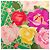 Hermès Hermes Carre 90 ROSERAIE Rose Garden Sciarpa Multicolore Verde - vista 4