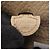 Hermès Borsa a tracolla Hermes Evelyne TPM Amazon Beige Malfa - vista 5
