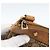 Borsa a Spalla GUCCI GG Canvas Beige Oro 120893 Auth 183669 D'oro - vista 14