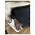 Zadig & Voltaire Clutch Rock in scamosciato nero - vista 14
