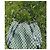 Borsa Gucci GG Supreme Abbey in tela verde Nero - vista 4