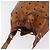 Borsa a Spalla MCM Vicetos Logogram PVC Pelle Marrone Oro Auth 183974 D'oro - vista 6