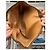 Céline Celine Tote Bag in tela Macadam Marrone - vista 5