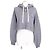 Louis Vuitton LV Flight Mode Cropped Hoodie Grau