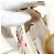 Borsa a tracolla Christian Dior Saddle in pelle 2way White Gold Auth 181753SAM Bianco D'oro - vista 26