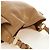 Borsa a Spalla PRADA in Pelle Beige Oro Auth 183307SAV D'oro - vista 6