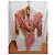 Jean Paul Gaultier Soleil Netz-Cardigan Barockprint Weiß Rot Mehrfarben - Ansicht 4