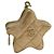 Chanel gestepptes Portemonnaie Gold Stern Golden