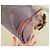 Louis Vuitton Borsa Jokes Moncrazy Marrone Rosa Rosso - vista 14
