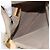 Borsa a Spalla FENDI Zucchino Canvas Beige Oro Auth 182966A D'oro - vista 11