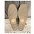 Derby con platform Dries Van Noten in scamosciato marrone - vista 6