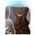 Maje Shorts de couro camel Camelo - vista 3
