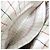 Maison Martin Margiela Borsa Maison Margiela 5AC Medium Marrone Bianco - vista 16