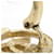Orecchini a clip Chanel Oro e Bianco D'oro - vista 11