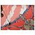 Hermès Hermes Schal Perles Du Kenya 90 cm Seide orange rosa 1997 Carre Perle 35" AUC31944_0517 Braun Weiß Rot Blau Beige Golden - Ansicht 9