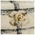 CHANEL Matelasse Chain Backpack Lana Tweed Avorio Oro CC Auth 181919SM D'oro Crudo - vista 20