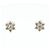 Autre Marque PT900 Platin Diamant Ohrstecker